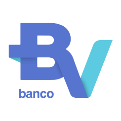icon_bv